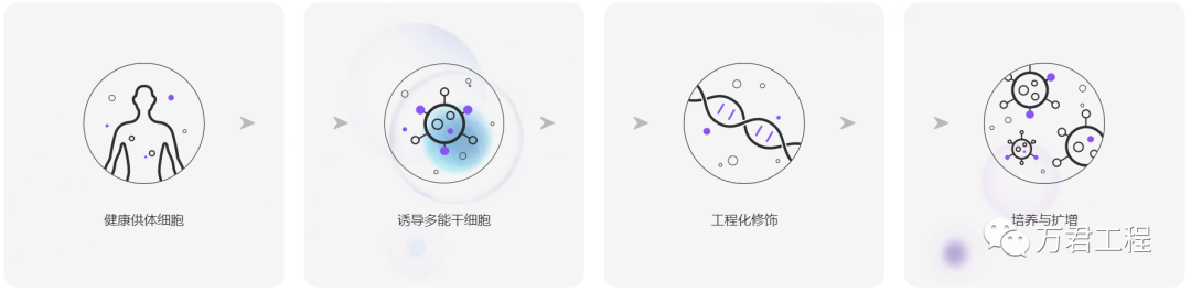 2024新澳门开奖记录最新